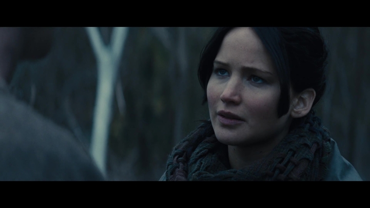 The_Hunger_Games_Catching_Fire_2013_1080p_BluRay_x264_AAC_-_Ozlem_02875.jpg